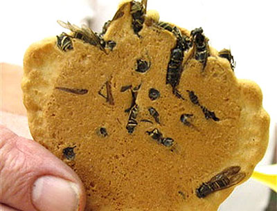 japanese-wasp-rice-crackers-bizzarefood